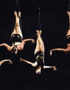 Le Reve Creation in Belgium