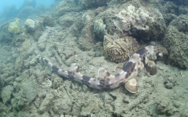 ph. Mark Erdmann/Wedaresort