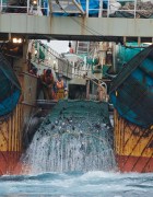 chalut de fond © pierre gleizes