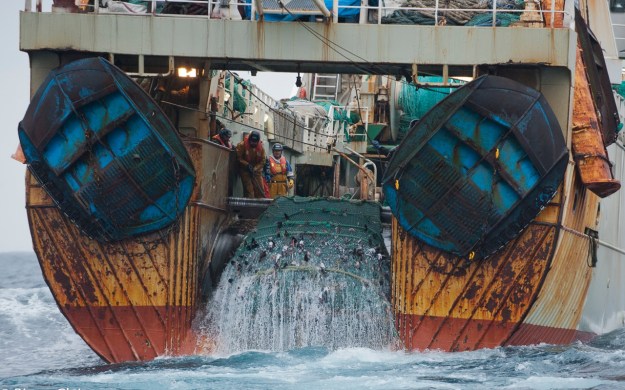 chalut de fond © pierre gleizes